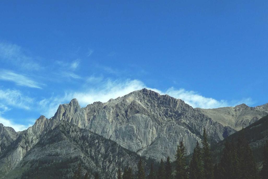 Sit quo excepturi qui provident